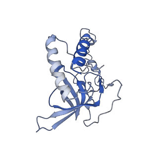 11645_7a5j_Q_v2-0
Structure of the split human mitoribosomal large subunit with P-and E-site mt-tRNAs