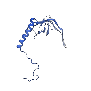 11645_7a5j_S_v1-0
Structure of the split human mitoribosomal large subunit with P-and E-site mt-tRNAs