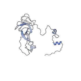 11645_7a5j_V_v2-0
Structure of the split human mitoribosomal large subunit with P-and E-site mt-tRNAs