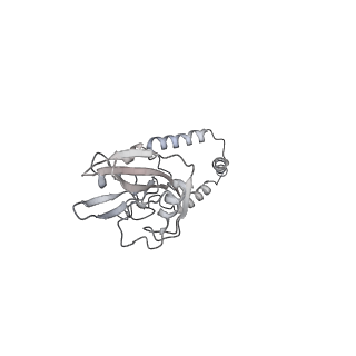 11645_7a5j_e_v1-0
Structure of the split human mitoribosomal large subunit with P-and E-site mt-tRNAs