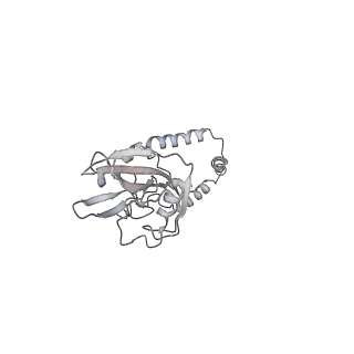 11645_7a5j_e_v2-0
Structure of the split human mitoribosomal large subunit with P-and E-site mt-tRNAs