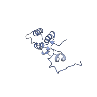 11645_7a5j_h_v1-0
Structure of the split human mitoribosomal large subunit with P-and E-site mt-tRNAs