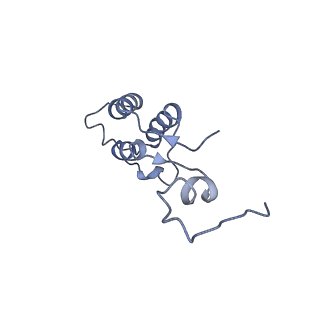 11645_7a5j_h_v2-0
Structure of the split human mitoribosomal large subunit with P-and E-site mt-tRNAs
