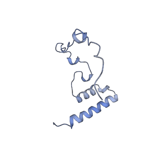 11645_7a5j_i_v1-0
Structure of the split human mitoribosomal large subunit with P-and E-site mt-tRNAs