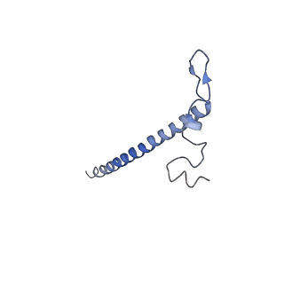 11645_7a5j_j_v1-0
Structure of the split human mitoribosomal large subunit with P-and E-site mt-tRNAs