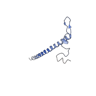 11645_7a5j_j_v2-0
Structure of the split human mitoribosomal large subunit with P-and E-site mt-tRNAs