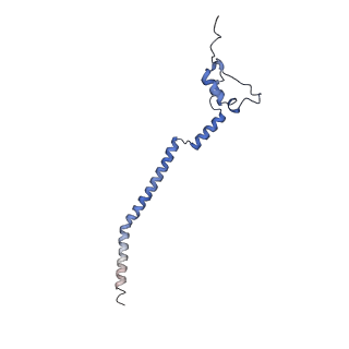 11645_7a5j_q_v1-0
Structure of the split human mitoribosomal large subunit with P-and E-site mt-tRNAs