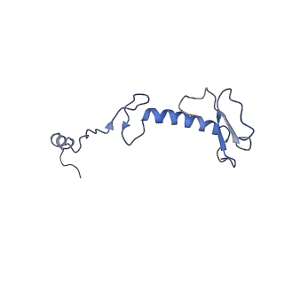 11646_7a5k_03_v1-0
Structure of the human mitoribosome in the post translocation state bound to mtEF-G1