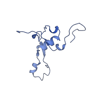 11646_7a5k_33_v1-0
Structure of the human mitoribosome in the post translocation state bound to mtEF-G1
