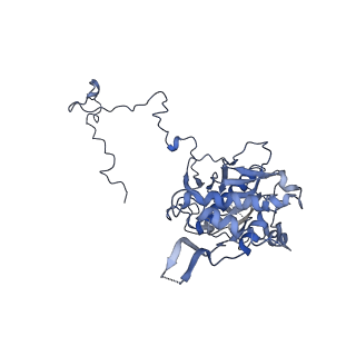 11646_7a5k_53_v1-0
Structure of the human mitoribosome in the post translocation state bound to mtEF-G1