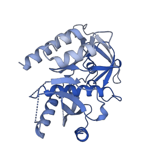 11646_7a5k_73_v1-0
Structure of the human mitoribosome in the post translocation state bound to mtEF-G1