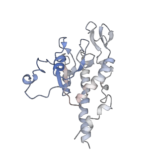 11646_7a5k_B6_v1-0
Structure of the human mitoribosome in the post translocation state bound to mtEF-G1