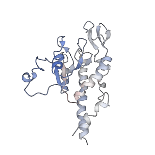 11646_7a5k_B6_v2-0
Structure of the human mitoribosome in the post translocation state bound to mtEF-G1