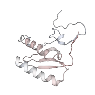11646_7a5k_C6_v1-0
Structure of the human mitoribosome in the post translocation state bound to mtEF-G1