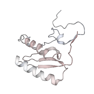 11646_7a5k_C6_v2-0
Structure of the human mitoribosome in the post translocation state bound to mtEF-G1