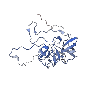 11646_7a5k_D3_v1-0
Structure of the human mitoribosome in the post translocation state bound to mtEF-G1