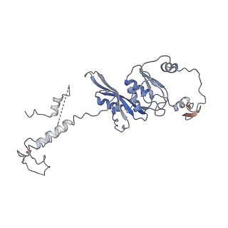 11646_7a5k_D6_v1-0
Structure of the human mitoribosome in the post translocation state bound to mtEF-G1