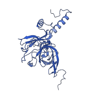 11646_7a5k_E3_v1-0
Structure of the human mitoribosome in the post translocation state bound to mtEF-G1