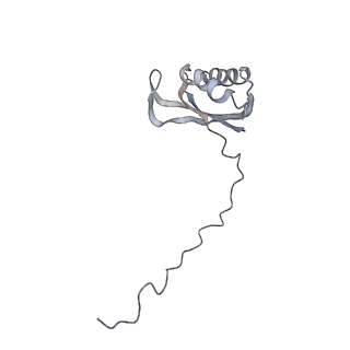 11646_7a5k_E6_v1-0
Structure of the human mitoribosome in the post translocation state bound to mtEF-G1