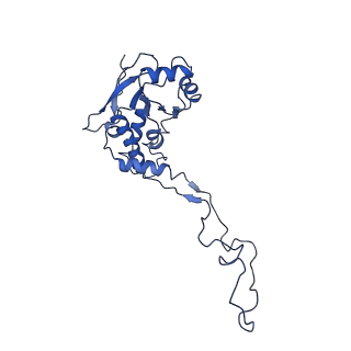 11646_7a5k_F3_v1-0
Structure of the human mitoribosome in the post translocation state bound to mtEF-G1