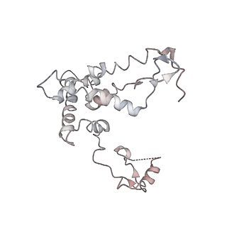 11646_7a5k_F6_v1-0
Structure of the human mitoribosome in the post translocation state bound to mtEF-G1