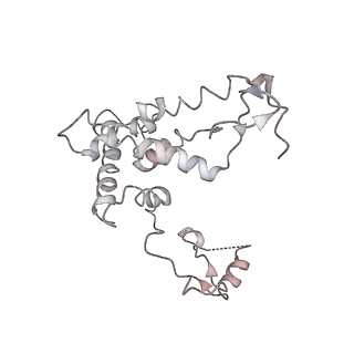 11646_7a5k_F6_v2-0
Structure of the human mitoribosome in the post translocation state bound to mtEF-G1