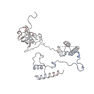 11646_7a5k_G6_v1-0
Structure of the human mitoribosome in the post translocation state bound to mtEF-G1