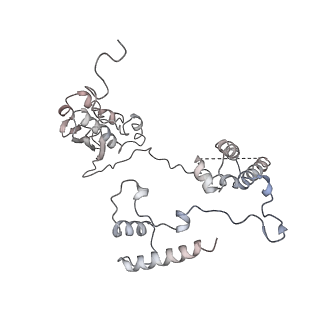 11646_7a5k_G6_v2-0
Structure of the human mitoribosome in the post translocation state bound to mtEF-G1