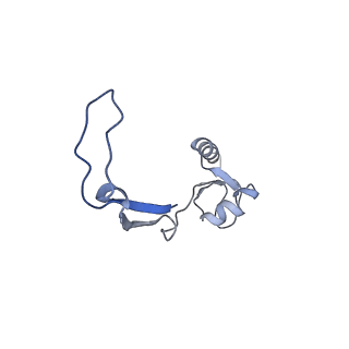 11646_7a5k_H3_v1-0
Structure of the human mitoribosome in the post translocation state bound to mtEF-G1