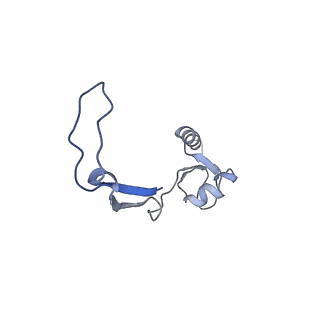 11646_7a5k_H3_v2-0
Structure of the human mitoribosome in the post translocation state bound to mtEF-G1