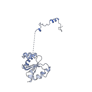 11646_7a5k_I3_v1-0
Structure of the human mitoribosome in the post translocation state bound to mtEF-G1