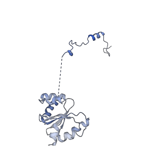 11646_7a5k_I3_v2-0
Structure of the human mitoribosome in the post translocation state bound to mtEF-G1