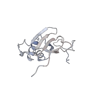 11646_7a5k_I6_v1-0
Structure of the human mitoribosome in the post translocation state bound to mtEF-G1