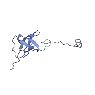 11646_7a5k_J6_v1-0
Structure of the human mitoribosome in the post translocation state bound to mtEF-G1