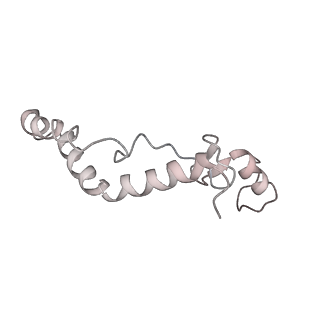 11646_7a5k_K6_v1-0
Structure of the human mitoribosome in the post translocation state bound to mtEF-G1