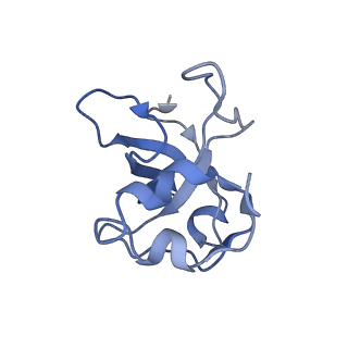 11646_7a5k_L3_v1-0
Structure of the human mitoribosome in the post translocation state bound to mtEF-G1