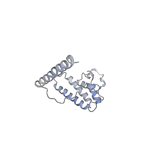 11646_7a5k_L6_v1-0
Structure of the human mitoribosome in the post translocation state bound to mtEF-G1