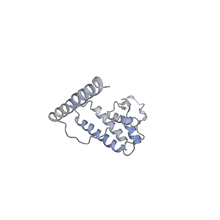 11646_7a5k_L6_v2-0
Structure of the human mitoribosome in the post translocation state bound to mtEF-G1