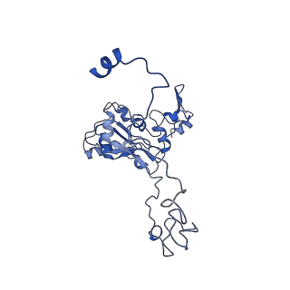 11646_7a5k_M3_v1-0
Structure of the human mitoribosome in the post translocation state bound to mtEF-G1