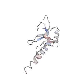 11646_7a5k_M6_v1-0
Structure of the human mitoribosome in the post translocation state bound to mtEF-G1