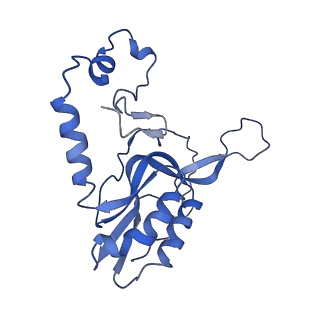 11646_7a5k_N3_v1-0
Structure of the human mitoribosome in the post translocation state bound to mtEF-G1