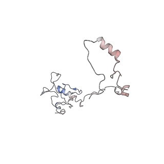 11646_7a5k_O6_v2-0
Structure of the human mitoribosome in the post translocation state bound to mtEF-G1