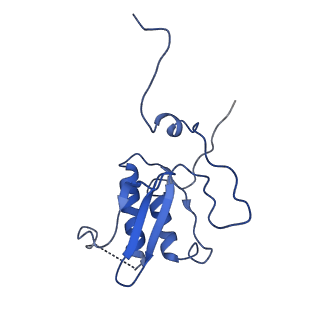 11646_7a5k_P3_v1-0
Structure of the human mitoribosome in the post translocation state bound to mtEF-G1