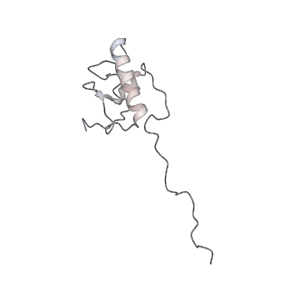 11646_7a5k_P6_v1-0
Structure of the human mitoribosome in the post translocation state bound to mtEF-G1