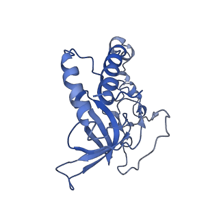 11646_7a5k_Q3_v1-0
Structure of the human mitoribosome in the post translocation state bound to mtEF-G1