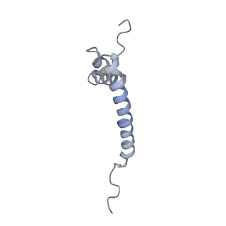 11646_7a5k_Q6_v1-0
Structure of the human mitoribosome in the post translocation state bound to mtEF-G1