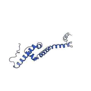 11646_7a5k_R3_v1-0
Structure of the human mitoribosome in the post translocation state bound to mtEF-G1