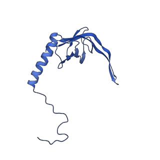 11646_7a5k_S3_v1-0
Structure of the human mitoribosome in the post translocation state bound to mtEF-G1