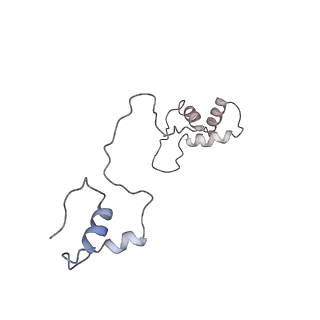 11646_7a5k_S6_v1-0
Structure of the human mitoribosome in the post translocation state bound to mtEF-G1