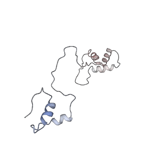 11646_7a5k_S6_v2-0
Structure of the human mitoribosome in the post translocation state bound to mtEF-G1